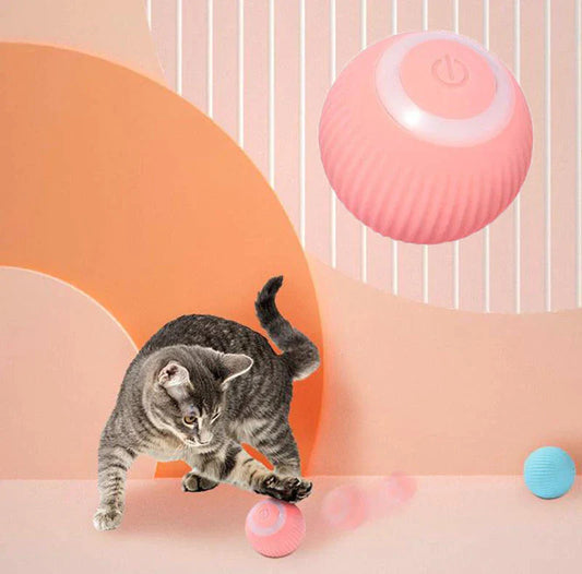interactive Cat Intelligent Rolling Ball