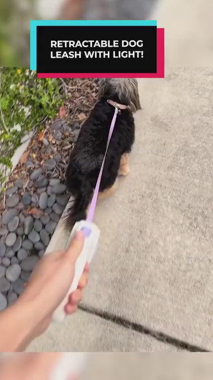 Dog LED Retractable Leash